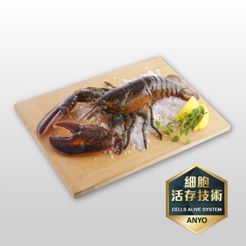 【安永鮮物】波士頓龍蝦（600 - 650g / 隻）