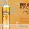 梅子氣泡飲