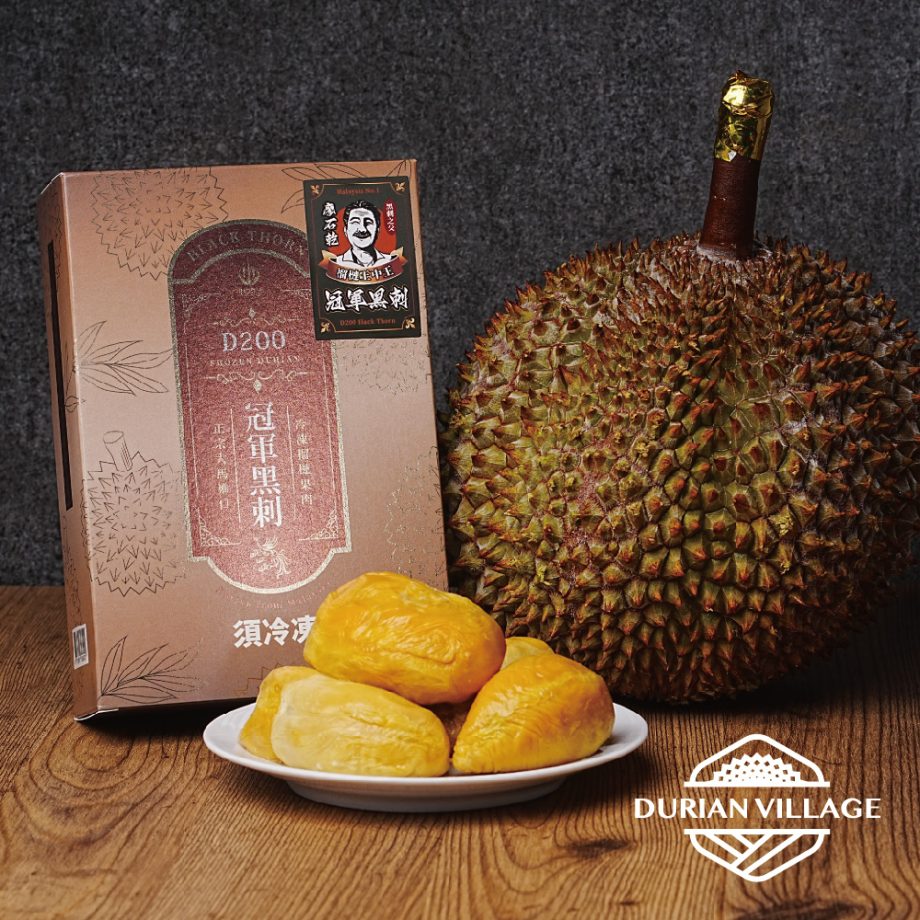 冠軍黑刺 冠軍黑刺