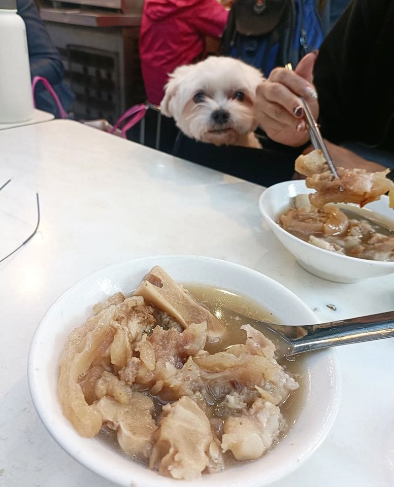 當歸鄉當歸豬腳