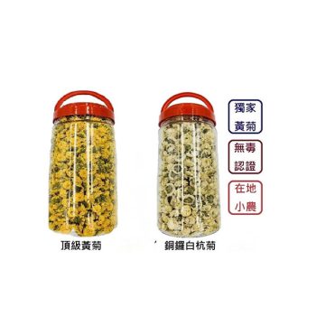 菊花-黃菊白杭菊