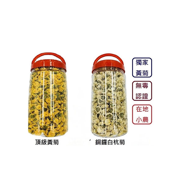 菊花-黃菊白杭菊